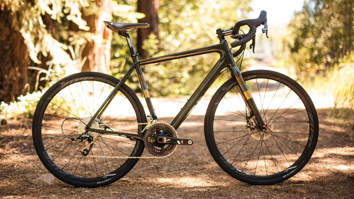  Salsa Warbird LTD 